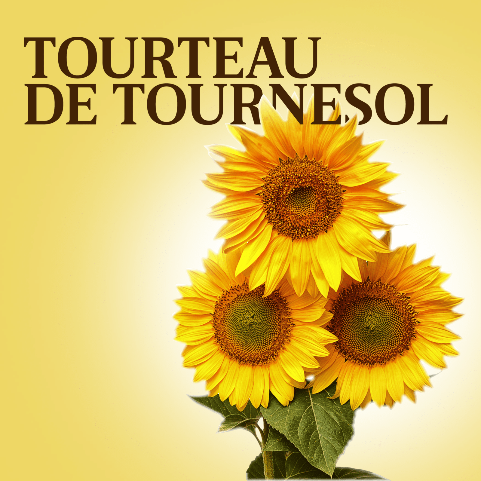 Tourteau de tournesol - Lesieur Cristal